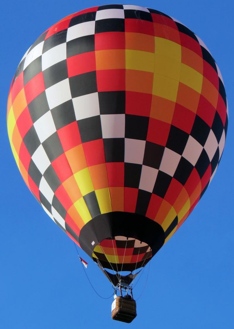 Hot air balloon named heartburn
